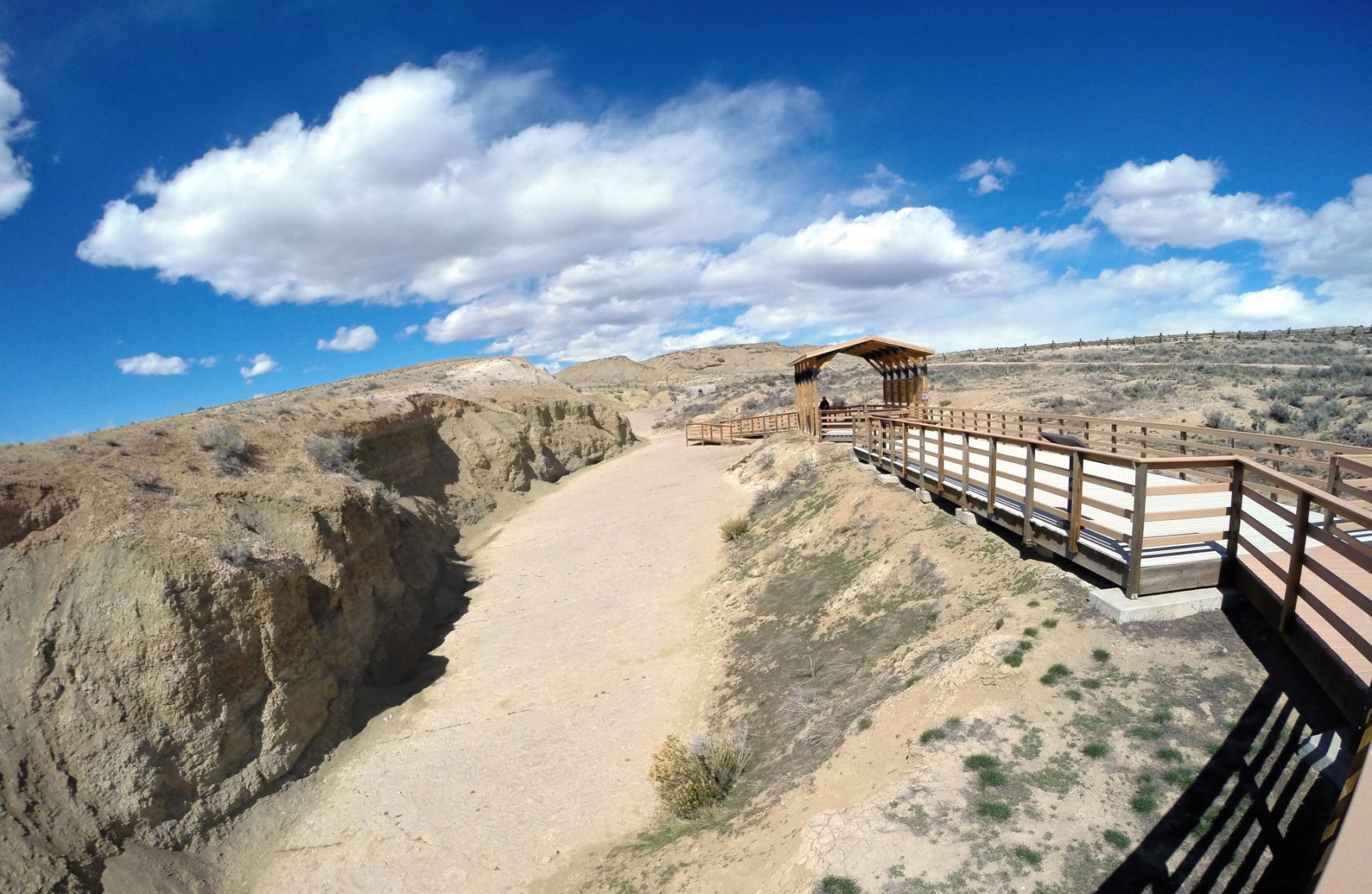Red Gulch Dinosaur Tracksite